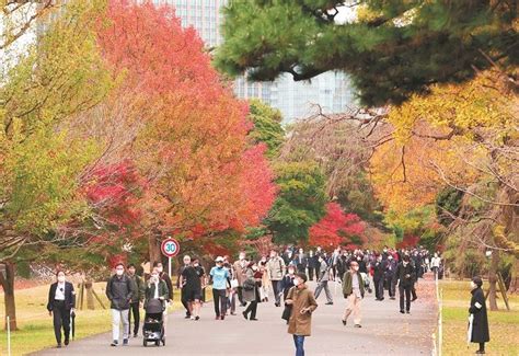 乾門|皇居乾通り一般公開について